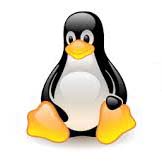 Linux Operating System Logo